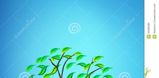Giáo trình Dược học cổ truyền