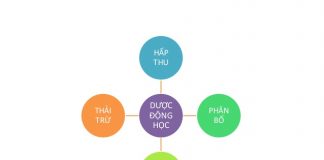 Bài 1 Đại cương về Dược động học