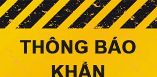 CÔNG VĂN 13868/QLD-TT