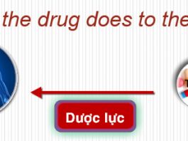 Bài 2 Đại cương về Dược lực học