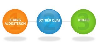 Thuốc lợi niệu