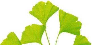 Công văn 20538/QLD-ĐK