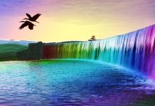 mua bán như hàng hóa thông thường