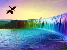mua bán như hàng hóa thông thường