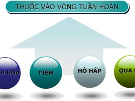 Hấp thu thuốc