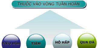 Hấp thu thuốc