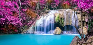 Dự thảo ngày 1.11.2017 Hm88a hoàn tiền 99%