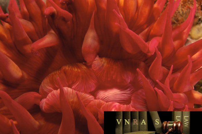 Công văn 5201/QLD-ĐK công bố danh mục NLLT cần thực hiện cấp GPNK