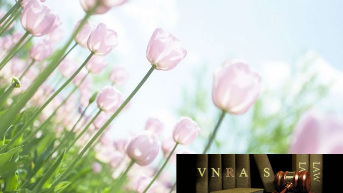 Công văn 4205/QLD-ĐK công bố danh mục NLLT cần cấp GPNK