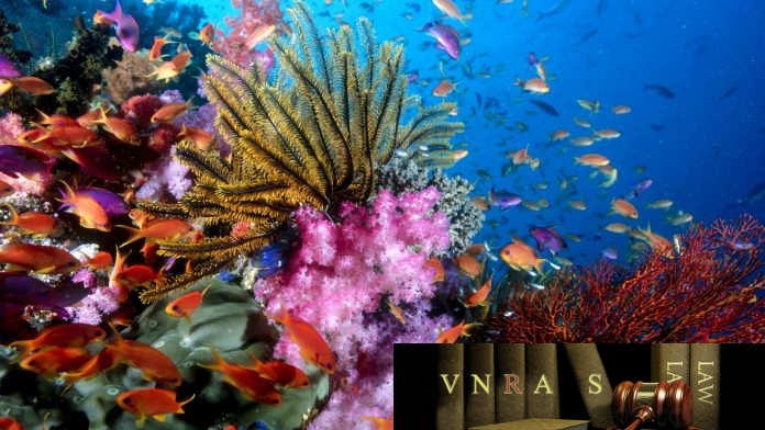 Công văn 4787/QLD-ĐK đính chính danh mục NLDC không cần GPNK