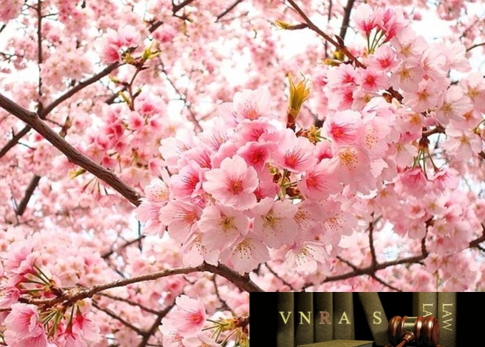 công văn 4206/QLD-ĐK công bố danh mục NLLT cần cấp phép NK