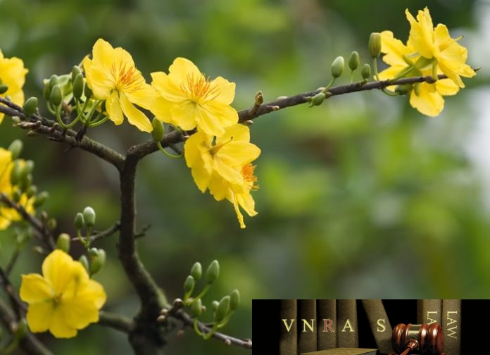 Nghị quyết số 19/NQ-CP về việc thí điểm thanh tra chuyên ngành ATTP