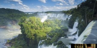 Công văn 6699/QLD-ĐK năm 2018