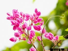 Tổng hợp kết quả trúng thầu năm 2017 - 2018