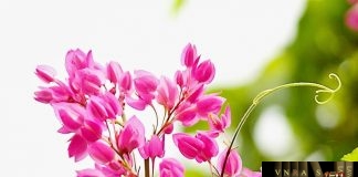 Tổng hợp kết quả trúng thầu năm 2017 - 2018