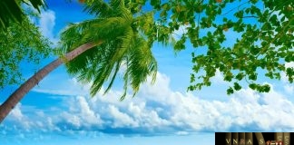 Công văn 5638/QLD-ĐK công bố danh mục NLLT không phải cấp phép NK của thuốc trong nước