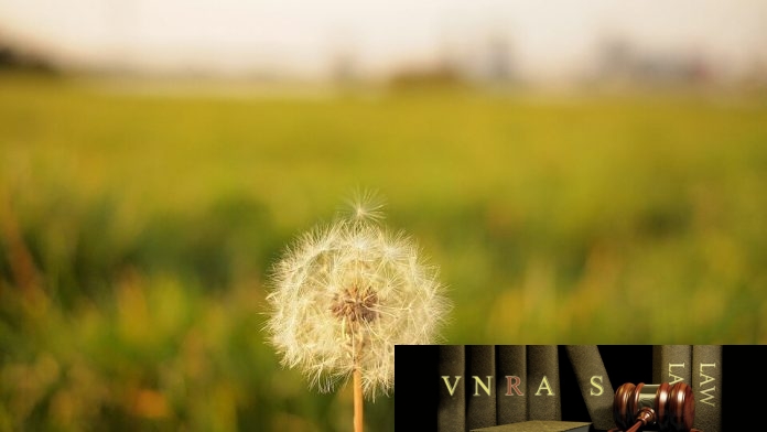 Công văn 4866/QLD-ĐK công bố danh mục NLLT không cần giấy phép NK
