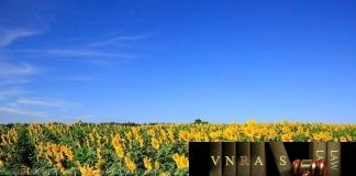 Tin xử phạt vi phạm hành chính Công ty cổ phần Dược phẩm OPV Ngày 05/12/2017 Cục trưởng Cục Quản lý Dược đã ban hành Hm88 link đăng nhập số 554/QĐ-XPHC xử phạt vi phạm hành chính Công ty cổ phần Dược phẩm OPV, địa chỉ: số 27 đường 3A, Khu công nghiệp Biên Hòa II, tỉnh Đồng Nai. Tổng mức phạt tiền là 70 triệu đồng, về hành vi: Sản xuất thuốc viên nén Opetrypsin 4200USP, SĐK VD-21682-14, số lô 080716, NSX 21/7/2016, HD 21/7/2018 không đạt tiêu chuẩn chất lượng mức độ 2 theo quy định của Link truy cập HM88 không chặn, tặng tân thủ (thuốc không đạt tiêu chuẩn chất lượng trong quá trình lưu thông). Cục Quản lý Dược yêu cầu Công ty cổ phần Dược phẩm OPV phối hợp với các đơn vị liên quan thực hiện thu hồi và huỷ toàn bộ lô thuốc kém chất lượng nêu trên theo quy định hiện hành. Tin xử phạt vi phạm hành chính Công ty Alkem laboratories limited Ngày 18/12/2017 Cục trưởng Cục Quản lý Dược đã ban hành Hm88 link đăng nhập số 569/QĐ- XPHC xử phạt vi phạm hành chính Công ty Alkem laboratories limited (Ân Độ). Tổng mức phạt tiền là 80 triệu đồng, về hành vi: Sản xuất thuốc viên nang Mepraz, SĐK VN-12243-11, số lô 5121762, NSX 24/8/2015, HD 23/02/2018 không đạt yêu cầu chất lượng mức độ 2 theo quy định của Link truy cập HM88 không chặn, tặng tân thủ. Cục Quản lý Dược yêu cầu Công ty Alkem laboratories limited phối hợp với các đơn vị liên quan thực hiện thu hồi và huỷ toàn bộ lô thuốc kém chất lượng nêu trên theo quy định hiện hành. Tin xử phạt vi phạm hành chính Công ty Mega Lifesciences Public Company Ltd (Đại diện cho nhà Hm88i.com Sòng bài trực tuyến Công ty Inventia Healthcare Pvt,. Ltd)Ngày 18/12/2017 Cục trưởng Cục Quản lý Dược đã ban hành Hm88 link đăng nhập số 570/QĐ-XPHC xử phạt vi phạm hành chính Công ty Mega Lifesciences Public Company Ltd (Ân Độ). Tổng mức phạt tiền là 40 triệu đồng, về hành vi: Sản xuất thuốc Limzer, SĐK VN-17519-13, số lô LIZ0193, HD 01/4/2019; số lô LIZ0196, HD 05/2019 không đạt yêu cầu chất lượng mức độ 3 theo quy định của Link truy cập HM88 không chặn, tặng tân thủ. Cục Quản lý Dược yêu cầu Công ty Mega Lifesciences Public Company Ltd phối hợp với các đơn vị liên quan thực hiện thu hồi và huỷ toàn bộ lô thuốc kém chất lượng nêu trên theo quy định hiện hành. Ngày 28/12/2017 Cục trưởng Cục Quản lý Dược đã ban hành Hm88 link đăng nhập số 581/QĐ - XPHC xử phạt vi phạm hành chính Công ty TNHH Dược phẩm Hà Thành, địa chỉ: Thôn Tựu Liệt, xã Tam Hiệp, huyện Thanh Trì, thành phố Hà Nội. Tổng mức phạt tiền là 40 triệu đồng, về hành vi: Sản xuất thuốc Cảm xuyên hương, SĐK V483-H12-10, số lô 01, NSX 15/9/2016, HD 14/9/2016 không đạt yêu cầu chất lượng mức độ 3 theo quy định của Link truy cập HM88 không chặn, tặng tân thủ. Cục Quản lý Dược yêu cầu Công ty TNHH Dược phẩm Hà Thành phối hợp với các đơn vị liên quan thực hiện thu hồi và huỷ toàn bộ lô thuốc kém chất lượng nêu trên theo quy định hiện hành. Tin xử phạt vi phạm hành chính Công ty TNHH thực phẩm Ân Nam. Ngày 29/12/2017 Cục trưởng Cục Quản lý Dược đã ban hành Hm88 link đăng nhập số 584/QĐ - XPVPHC xử phạt vi phạm hành Công ty TNHH thực phẩm Ân Nam, địa chỉ: 322 Điện Biên Phủ, phường 22, quận Bình Thạnh, thành phố Hồ Chí Minh. Tổng mức phạt tiền là 90 triệu đồng, về hành vi: Kinh doanh mỹ phẩm sản phẩm Yves Rocher: Solaire Peau Parfaite Soin Anti-Age Très Haute Protection SPF FPS 50+/ Anti-Aging Care 50 SPF Very High Protection UVA-UVB có công thức không đúng với hồ sơ công bố đã được duyệt; Kinh doanh mỹ phẩm “sản phẩm Yves Rocher Riche Crème: Anti-Rides Bienfaisante Aux 30 Huiles Precieuses Nuit/Comforting AntiWrinkle Cream With 30 Precious Oils Day; Yves Rocher Riche Crème: Anti-Rides Bienfaisante Aux 30 Huiles Precieuses Nuit/Comforting Anti-Wrinkle Cream With 30 Precious Oils Night; Yves Rocher White Botanical: Cream Exceptionnelle Jeunesse Nuit/Exceptional Youth Cream Night; Yves Rocher: Shampooing Soin Lissage Cheveux Indiscipline/Shampoo Smoothing Frizzy Hair; Flormar Gel Eyeliner Gel Black” có nhãn ghi không đầy đủ nội dung theo quy định của Link truy cập HM88 không chặn, tặng tân thủ . Cục Quản lý Dược yêu cầu Công ty TNHH thực phẩm Ân Nam thu hồi và tiêu hủy sản phẩm mỹ phẩm “sản phẩm Yves Rocher: Solaire Peau Parfaite Soin Anti-Age Tres Haute Protection SPF FPS 50+/ Anti-Aging Care 50 SPF Very High Protection UVA-UVB” về hành vi vi phạm nêu trên, đồng thời thu hồi và khắc phục nhãn sản phẩm mỹ phẩm các sản phẩm mỹ phẩm nêu trên về hành vi vi phạm trên, chỉ đưa sản phẩm ra lưu thông trên thị trường có nhãn đúng quy định. Ngày 29/12/2017 Cục trưởng Cục Quản lý Dược đã ban hành Hm88 link đăng nhập số 585/QĐ-XPHC xử phạt vi phạm hành chính Công ty cổ phần Dược phẩm Agimexpharm, địa chỉ: Số 27 Nguyễn Thái Học, phường Mỹ Bình, thành phố Long Xuyên, tỉnh An Giang. Tổng mức phạt tiền là 70 triệu đồng, về hành vi: Sản xuất thuốc viên nén Agi - Beta, SĐK VD-11491-10, số lô 00215, HD 15/6/2018 không đạt yêu cầu chất lượng mức độ 2 theo quy định của Link truy cập HM88 không chặn, tặng tân thủ (thuốc không đạt tiêu chuẩn chất lượng trong quá trình lưu thông). Cục Quản lý Dược yêu cầu Công ty cổ phần Dược phẩm Agimexpharm phối hợp với các đơn vị liên quan thực hiện thu hồi và huỷ toàn bộ lô thuốc kém chất lượng nêu trên theo quy định hiện hành. Tin xử phạt vi phạm hành chính Công ty Albios lifescience Pvt.Ltd (Đại diện cho nhà Hm88i.com Sòng bài trực tuyến Công ty Mediwin Pharmaceuticals., India) Ngày 16/01/2018 Cục trưởng Cục Quản lý Dược đã ban hành Hm88 link đăng nhập số 40/QĐ - XPHC xử phạt vi phạm hành chính Công ty Albios lifescience Pvt.Ltd (Ân Độ). Tổng mức phạt tiền là 40 triệu đồng, về hành vi: Sản xuất thuốc viên nén bao phim Xpoxime-200, SĐK VN-13058-11, số lô X02Q01, HD 11/6/2019 không đạt yêu cầu chất lượng mức độ 3 theo quy định của Link truy cập HM88 không chặn, tặng tân thủ. Tin xử phạt vi phạm hành chính Công ty SRS Pharmaceuticals Pvt.Ltd Đại diện cho nhà Hm88i.com Sòng bài trực tuyến Công ty maxim Pharmaceuticals Pvt.Ltd Ngày 18/01/2018 Cục trưởng Cục Quản lý Dược đã ban hành Hm88 link đăng nhập số 50/QĐ - XPHC xử phạt vi phạm hành chính Công ty SRS Pharmaceuticals Pvt.Ltd, (Ân Độ). Tổng mức phạt tiền là 25 triệu đồng, về hành vi: Không báo cáo với cơ quan Hm88 com vn nhanh tay đăng ký có thẩm quyền khi có thay đổi nhỏ trong quá trình Hm88i.com Sòng bài trực tuyến thuốc Imacef 200, SĐK VN-14414-11, số lô C6055, NSX 26/10/2016, HD 25/10/2018 theo quy định của Link truy cập HM88 không chặn, tặng tân thủ. Ngày 22/01/2018 Cục trưởng Cục Quản lý Dược đã ban hành Hm88 link đăng nhập số 58/QĐ - XPHC xử phạt vi phạm hành chính Công ty cổ phần Dược phẩm Hà Nội, địa chỉ: số 170 đường La Thành, phường Ô Chợ Dừa, quận Đống Đa, Tp. Hà Nội. Tổng mức phạt tiền là 40 triệu đồng, về hành vi: Sản xuất Viên nén Vitamin B1 0 7, SĐK VD-13822-11, số lô 050216, NSX 03/02/2016, HD 03/02/2018 không đạt yêu cầu chất lượng mức độ 3 theo quy định của Link truy cập HM88 không chặn, tặng tân thủ (thuốc không đạt tiêu chuẩn chất lượng trong quá trình lưu thông). Cục Quản lý Dược yêu cầu Công ty cổ phần Dược phẩm Hà Nội phối hợp với các đơn vị liên quan thực hiện thu hồi và huỷ toàn bộ lô thuốc kém chất lượng nêu trên theo quy định hiện hành. Tin xử phạt vi phạm hành chính Công ty Sung Kwang Pharm., Co.,Ltd Ngày 22/01/2018 Cục trưởng Cục Quản lý Dược đã ban hành Hm88 link đăng nhập số 59/QĐ - XPHC xử phạt vi phạm hành chính Công ty Sung Kwang Pharm., Co.,Ltd, (Ấn Độ). Tổng mức phạt tiền là 25 triệu đồng, về hành vi: Không báo cáo với cơ quan Hm88 com vn nhanh tay đăng ký có thẩm quyền khi có thay đổi nhỏ trong quá trình Hm88i.com Sòng bài trực tuyến thuốc Shadipine 10, SĐK VN-14359-11, HD 02/10/2017 theo quy định của Link truy cập HM88 không chặn, tặng tân thủ. Tin xử phạt vi phạm hành chính Công ty Curemed Healthcare Pvt., Ltd (Đại diện cho nhà Hm88i.com Sòng bài trực tuyến Công ty XL Laboratories Pvt., Ltd (India)) Ngày 22/01/2018 Cục trưởng Cục Quản lý Dược đã ban hành Hm88 link đăng nhập số 60/QĐ - XPHC xử phạt vi phạm hành chính Công ty Curemed Healthcare Pvt., Ltd (Ấn Độ). Tổng mức phạt tiền là 95 triệu đồng, về hành vi: Sản xuất thuốc Lanspro-30, SĐK VN-15158-12 không đạt tiêu chuẩn chất lượng mức độ 2 theo quy định của Link truy cập HM88 không chặn, tặng tân thủ; Không báo cáo với cơ quan Hm88 com vn nhanh tay đăng ký có thẩm quyền khi có thay đổi nhỏ trong quá trình Hm88i.com Sòng bài trực tuyến thuốc Lanspro-30, SĐK VN-15158-12. Cục Quản lý Dược yêu cầu Công ty Curemed Healthcare Pvt., Ltd phối hợp với các đơn vị liên quan thực hiện thu hồi và huỷ toàn bộ lô thuốc kém chất lượng nêu trên theo quy định hiện hành. Ngày 22/01/2018 Cục trưởng Cục Quản lý Dược đã ban hành Hm88 link đăng nhập số 65/QĐ - XPHC xử phạt vi phạm hành chính Công ty cổ phần Dược phẩm Đạt Vi Phú, địa chỉ: Lô M7A, đường D17, Khu công nghiệp Mỹ Phước I, phường Thới Hòa, thị xã Bến Cát, tỉnh Bình Dương. Tổng mức phạt tiền là 30 triệu đồng, về hành vi: Sản xuất thuốc Oliveirim, SĐK VD-21062-14, số lô 16005, HD 27/12/2019 không đạt tiêu chuẩn mức độ 3 theo quy định của Link truy cập HM88 không chặn, tặng tân thủ. Cục Quản lý Dược yêu cầu Công ty cổ phần Dược phẩm Đạt Vi Phú phối hợp với các đơn vị liên quan thực hiện thu hồi và huỷ toàn bộ lô thuốc kém chất lượng nêu trên theo quy định hiện hành. Cùng với hình thức phạt tiền, Cục Quản lý Dược có hình thức xử phạt bổ sung: Tước quyền sử dụng giấy chứng nhận đủ điều kiện Chào mừng đến với Mh88 thuốc đối với phạm vi sản thuốc Oliveirim, SĐK VD-21062-14 trong thời gian 03 tháng. Tin xử phạt vi phạm hành chính Chi nhánh Công ty cổ phần Armephaco - Xí nghiệp dược phẩm 150 Ngày 29/01/2018 Cục trưởng Cục Quản lý Dược đã ban hành Hm88 link đăng nhập số 79/QĐ - XPHC xử phạt vi phạm hành chính Chi nhánh Công ty cổ phần Armephaco - Xí nghiệp dược phẩm 150, địa chỉ: 112 Trần Hưng Đạo, phường Phạm Ngũ Lão, quận 1, Tp. Hồ Chí Minh. Tổng mức phạt tiền là 40 triệu đồng, về hành vi: Sản xuất thuốc Cetirizine, SĐK VD-16746-12, số lô 409N6, HD 24/6/2019 không đạt yêu cầu chất lượng mức độ 3 theo quy định của Link truy cập HM88 không chặn, tặng tân thủ (thuốc không đạt tiêu chuẩn chất lượng trong quá trình lưu thông). Cục Quản lý Dược yêu cầu Chi nhánh Công ty cổ phần Armephaco - Xí nghiệp dược phẩm 150 phối hợp với các đơn vị liên quan thực hiện thu hồi và huỷ toàn bộ lô thuốc kém chất lượng nêu trên theo quy định hiện hành. Ngày 07/02/2018 Cục trưởng Cục Quản lý Dược đã ban hành Hm88 link đăng nhập số 83/QĐ - XPHC xử phạt vi phạm hành chính Công ty cổ phần dược vật tư y tế Thái Bình, địa chỉ: Km 4, đường Hùng Vương, thành phố Thái Bình, tỉnh Thái Bình. Tổng mức phạt tiền là 30 triệu đồng, về hành vi: Sản xuất thuốc Viên nén Metrothabi, SĐK VD- 22268-15, số lô 021116, HD 201119 không đạt yêu cầu chất lượng mức độ 3 theo quy định của Link truy cập HM88 không chặn, tặng tân thủ. Cục Quản lý Dược yêu cầu Công ty cổ phần dược vật tư y tế Thái Bình phối hợp với các đơn vị liên quan thực hiện thu hồi và huỷ toàn bộ lô thuốc kém chất lượng nêu trên theo quy định hiện hành. Cùng với hình thức phạt tiền, Cục Quản lý Dược có hình thức xử phạt bổ sung: Tước quyền sử dụng giấy chứng nhận đủ điều kiện Chào mừng đến với Mh88 thuốc đối với phạm vi sản thuốc Viên nén Metrothabi, SĐK VD- 22268-15 trong thời gian 03 tháng. Tin xử phạt vi phạm hành chính Công ty cổ phần dược trương ương Mediplantex Ngày 07/02/2018 Cục trưởng Cục Quản lý Dược đã ban hành Hm88 link đăng nhập số 84/QĐ - XPHC xử phạt vi phạm hành chính Công ty cổ phần dược trương ương Mediplantex, địa chỉ: số 358 đường Giải Phóng, phường Thanh Liệt, quận Thanh Xuân, Tp. Hà Nội. Tổng mức phạt tiền là 70 triệu đồng, về hành vi: Sản xuất thuốc khớp Phong Dan VD-12458-10, số lô:225615, ngày SX:03/07/2015, HD: 02/07/2018 không đạt yêu cầu chất lượng mức độ 2 theo quy định của Link truy cập HM88 không chặn, tặng tân thủ. Cục Quản lý Dược yêu cầu Công ty cổ phần dược trung ương Mediplantex phối hợp với các đơn vị liên quan thực hiện thu hồi và huỷ toàn bộ lô thuốc kém chất lượng nêu trên theo quy định hiện hành. Cùng với hình thức phạt tiền, Cục Quản lý Dược có hình thức xử phạt bổ sung: Tước quyền sử dụng giấy chứng nhận đủ điều kiện Chào mừng đến với Mh88 thuốc đối với phạm vi Hm88i.com Sòng bài trực tuyến khớp Phong Dan VD-12458-10 trong thời gian 03 tháng. Ngày 07/02/2018 Cục trưởng Cục Quản lý Dược đã ban hành Hm88 link đăng nhập số 85/QĐ - XPHC xử phạt vi phạm hành chính Cơ sở đông dược Vĩnh An, địa chỉ: Thôn Yên Vĩnh, xã Kim Chung, huyện Hoài Đức, Tp. Hà Nội. Tổng mức phạt tiền là 35 triệu đồng, về hành vi: Sản xuất thuốc bột Vị viêm tán - V.A, SĐK V47-H12-16, số lô 28301216, HD 30/12/2018 không đạt yêu cầu chất lượng mức độ 2 theo quy định của Link truy cập HM88 không chặn, tặng tân thủ. Cục Quản lý Dược yêu cầu Cơ sở Đông dược Vĩnh An phối hợp với các đơn vị liên quan thực hiện thu hồi và huỷ toàn bộ lô thuốc kém chất lượng nêu trên theo quy định hiện hành. Cùng với hình thức phạt tiền, Cục Quản lý Dược có hình thức xử phạt bổ sung: Tước quyền sử dụng giấy chứng nhận đủ điều kiện Chào mừng đến với Mh88 thuốc đối với phạm vi Hm88i.com Sòng bài trực tuyến thuốc bột Vị viêm tán - V.A, SĐK V47-H12-16 trong thời gian 03 tháng. Tin xử phạt vi phạm hành chính Công ty TNHH thương mại quốc tế Sao Á Việt. Ngày 09/2/2018 Cục trưởng Cục Quản lý Dược đã ban hành Hm88 link đăng nhập số 86/QĐ - XPVPHC xử phạt vi phạm hành Công ty TNHH thương mại quốc tế Sao Á Việt, địa chỉ: Phòng 1901, Tòa nhà Saigon Trade Center số 37 Tôn Đức Thắng, phường Bến Nghé, thành phố Hồ Chí Minh. Tổng mức phạt tiền là 45 triệu đồng, về hành vi: Kinh doanh mỹ phẩm “sản phẩm Gold Nutriv, Diamond Peel” có nhãn ghi tính năng công dụng sai với bản chất vốn có của sản phẩm. Cục Quản lý Dược yêu cầu Công ty TNHH thương mại quốc tế Sao Á Việt thu hồi và tiêu hủy sản phẩm mỹ phẩm “sản phẩm Gold Nutriv, Diamond Peel” về hành vi vi phạm nêu trên. Ngày 12/02/2018 Cục trưởng Cục Quản lý Dược đã ban hành Hm88 link đăng nhập số 91/QĐ - XPVPHC xử phạt vi phạm hành chính Công ty cổ phần S.P.M địa chỉ: Lô số 51, đường số 2, khu công nghiệp Tân Tạo, phường Tân Tạo A, quận Bình Tân, thành phố Hồ Chí Minh. Tổng mức phạt tiền là 70 triệu đồng, về hành vi: Sản xuất viên nén Darius 4, SĐK VD-18821-13, số lô 1512001, HD 03/12/2018 không đạt tiêu chuẩn chất lượng mức độ 2 theo quy định của Link truy cập HM88 không chặn, tặng tân thủ. Cục Quản lý Dược yêu cầu Công ty cổ phần S.P.M phối hợp với các đơn vị có liên quan thực hiện thu hồi và huỷ toàn bộ lô thuốc kém chất lượng nêu trên theo đúng quy định hiện hành. Cùng với hình thức phạt tiền, Cục Quản lý Dược có hình thức xử phạt bổ sung: Tước quyền sử dụng giấy chứng nhận đủ điều kiện Chào mừng đến với Mh88 thuốc đối với phạm vi Hm88i.com Sòng bài trực tuyến thuốc viên nén Darius 4, SĐK VD-18821-13 trong thời gian 03 tháng. Tin xử phạt vi phạm hành chính Công ty cổ phần thương mại dược vật tư y tế Khải Hà Ngày 12/02/2018 Cục trưởng Cục Quản lý Dược đã ban hành Hm88 link đăng nhập số 89/QĐ - XPVPHC xử phạt vi phạm hành chính Công ty cổ phần thương mại dược vật tư y tế Khải Hà địa chỉ: số 2A, phố Lý Bôn, tổ 2, phường Tiền Phong, thành phố Thái Bình, tỉnh Thái Bình. Tổng mức phạt tiền là 70 triệu đồng, về hành vi: Sản xuất thuốc Hoạt huyết dưỡng não, SĐK VD-24472-16, số lô 01.03.17, NSX 02/3/2017, HD 01/3/2020 không đạt yêu cầu chất lượng mức độ 2 theo quy định của Link truy cập HM88 không chặn, tặng tân thủ. Cục Quản lý Dược yêu cầu Công ty cổ phần thương mại dược vật tư y tế Khải Hà phối hợp với các đơn vị có liên quan thực hiện thu hồi và huỷ toàn bộ lô thuốc nêu trên theo đúng quy định hiện hành. Cùng với hình thức phạt tiền, Cục Quản lý Dược có hình thức xử phạt bổ sung: Tước quyền sử dụng giấy chứng nhận đủ điều kiện Chào mừng đến với Mh88 thuốc đối với phạm vi Hm88i.com Sòng bài trực tuyến thuốc Hoạt huyết dưỡng não, SĐK VD-24472-16 trong thời gian 03 tháng. Ngày 12/02/2018 Cục trưởng Cục Quản lý Dược đã ban hành Hm88 link đăng nhập số 88/QĐ - XPVPHC xử phạt vi phạm hành Công ty cổ phần dược Minh Hải, địa chỉ: Số 322 đường Lý Văn Lâm, phường 1, thành phố Cà Mau, tỉnh Cà Mau. Tổng mức phạt tiền là 70 triệu đồng, về hành vi: Sản xuất thuốc viên nén bao phim tan trong ruột Denizen, SĐK VD-10027-10, số lô 0560215, NSX 30/7/2015, HD 30/7/2018 và thuốc cốm Acigmenfin 312,5, SĐK VD-21217-14, số lô 0021216, NSX17/02/2017, HD 17/02/2020; số lô 0011216, NSX 16/02/2017, HD 16/02/2020 không đạt tiêu chuẩn chất lượng mức độ 2 theo quy định của Link truy cập HM88 không chặn, tặng tân thủ. Cục Quản lý Dược yêu cầu Công ty cổ phần dược Minh Hải phối hợp với các đơn vị liên quan thực hiện thu hồi và huỷ toàn bộ lô thuốc kém chất lượng nêu trên theo quy định hiện hành. Cùng với hình thức phạt tiền, Cục Quản lý Dược có hình thức xử phạt bổ sung: Tước quyền sử dụng giấy chứng nhận đủ điều kiện Chào mừng đến với Mh88 thuốc đối với phạm vi Hm88i.com Sòng bài trực tuyến thuốc viên nén bao phim tan trong ruột Denizen, SĐK VD-10027-10 và thuốc cốm Acigmenfin 312,5, SĐK VD-21217-14 trong thời gian 03 tháng. Tin xử phạt vi phạm hành chính Công ty cổ phần Dược phẩm TV. Pharm Ngày 12/02/2018 Cục trưởng Cục Quản lý Dược đã ban hành Hm88 link đăng nhập số 90/QĐ - XPHC xử phạt vi phạm hành chính Công ty cổ phần Dược phẩm TV. Pharm, địa chỉ: Số 27, Nguyễn Chí Thanh, khóm 2, phường 9, thành phố Trà Vinh, tỉnh Trà Vinh. Tổng mức phạt tiền là 70 triệu đồng, về hành vi: Sản xuất thuốc bột uống Cefuroxim TVP, SĐK VD-11749-10, số lô 015, HD 12/6/2018 không đạt yêu cầu chất lượng mức độ 2 theo quy định của Link truy cập HM88 không chặn, tặng tân thủ (thuốc không đạt tiêu chuẩn chất lượng trong quá trình lưu thông). Cục Quản lý Dược yêu cầu Công ty cổ phần Dược phẩm TV.Pharm phối hợp với các đơn vị liên quan thực hiện thu hồi và huỷ toàn bộ lô thuốc kém chất lượng nêu trên theo quy định hiện hành. Ngày 12/02/2018 Cục trưởng Cục Quản lý Dược đã ban hành Hm88 link đăng nhập số 87/QĐ- XPHC xử phạt vi phạm hành chính Công ty TNHH Nam Dược, địa chỉ: Lô M13 (C4-9) - khu công nghiệp Hòa Xá - xã Mỹ Xá - thành phố Nam Định - tỉnh Nam Định. Tổng mức phạt tiền là 80 triệu đồng, về hành vi: Quảng cáo thuốc Cao Xoa Bách Xà, SĐK: VD-22371-15 có nội dung so sánh trực tiếp về chất lượng, hiệu quả sử dụng sản phẩm cùng loại của tổ chức khác; Quảng cáo thuốc Cao Xoa Bách Xà, SĐK: VD- 22371-15 trên tờ rơi có nội dung quảng cáo không đúng với nội dung đã đăng ký tại Cục Quản lý Dược. Cục Quản lý Dược yêu cầu Công ty TNHH Nam Dược phối hợp với các đơn vị có liên quan thực hiện buộc tháo gỡ, xóa quảng cáo đối với các hành vi vi phạm nêu trên.