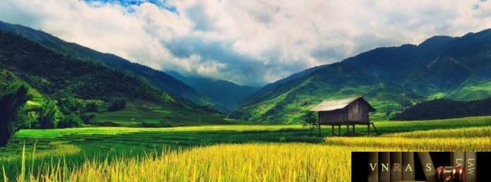 cong_van_2821_QĐ-BYT_ban_hanh_danh_muc_sinh_pham Công văn 2821/QĐ-BYT ban hành danh mục sinh phẩm chẩn đoán invitro được cấp SĐK lưu hành