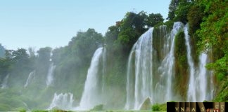 Công văn 7803/QLD-ĐK công bố danh mục NLLT không cần cấp phép NK