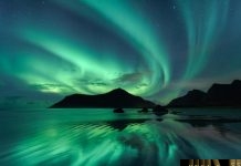 Văn bản hợp nhất 04/VBHN-BYT ban hành danh mục thuốc đông y, thuốc dược liệu, YHCT do bảo hiểm thanh toán