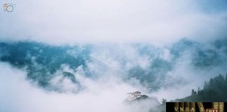 TỔNG HỢP TÌNH HÌNH KÊ KHAI LẠI THUỐC NHẬP KHẨU