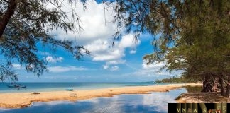 Công văn 11259/QLD-ĐK công bố danh mục NLLT phải có giấy phép NK