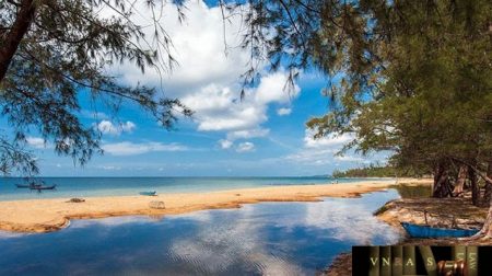 cong_van_11259_QLD_ĐK_cong_bo_danh_muc_NLLT_phai_co_giay_phep_nhap_khau Công văn 11259/QLD-ĐK công bố danh mục NLLT phải có giấy phép NK