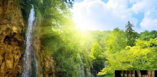 Công văn 11533/QLD-MP thu hồi mỹ phẩm không đạt chất lượng