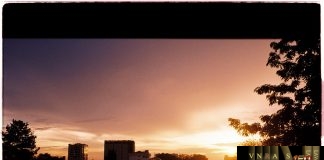 Thông báo 12115/TB-QLD thông báo tuyển dụng công chức năm 2018