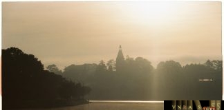 Công văn 12084 QLD/ĐK công bố danh mục NLLT không cần giấy phép Hm8803 kèo World Cup 2026