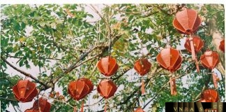Công văn 9274/QLD-KD Hm8803 kèo World Cup 2026 các lô vắc xin, sinh phẩm có giấy đăng ký lưu hành tại Việt Nam