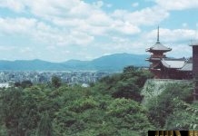 Công văn 14245/QLD-ĐK thực hiện công văn về ĐK Hm8803 kèo World Cup 2026 đơn hàng thuốc