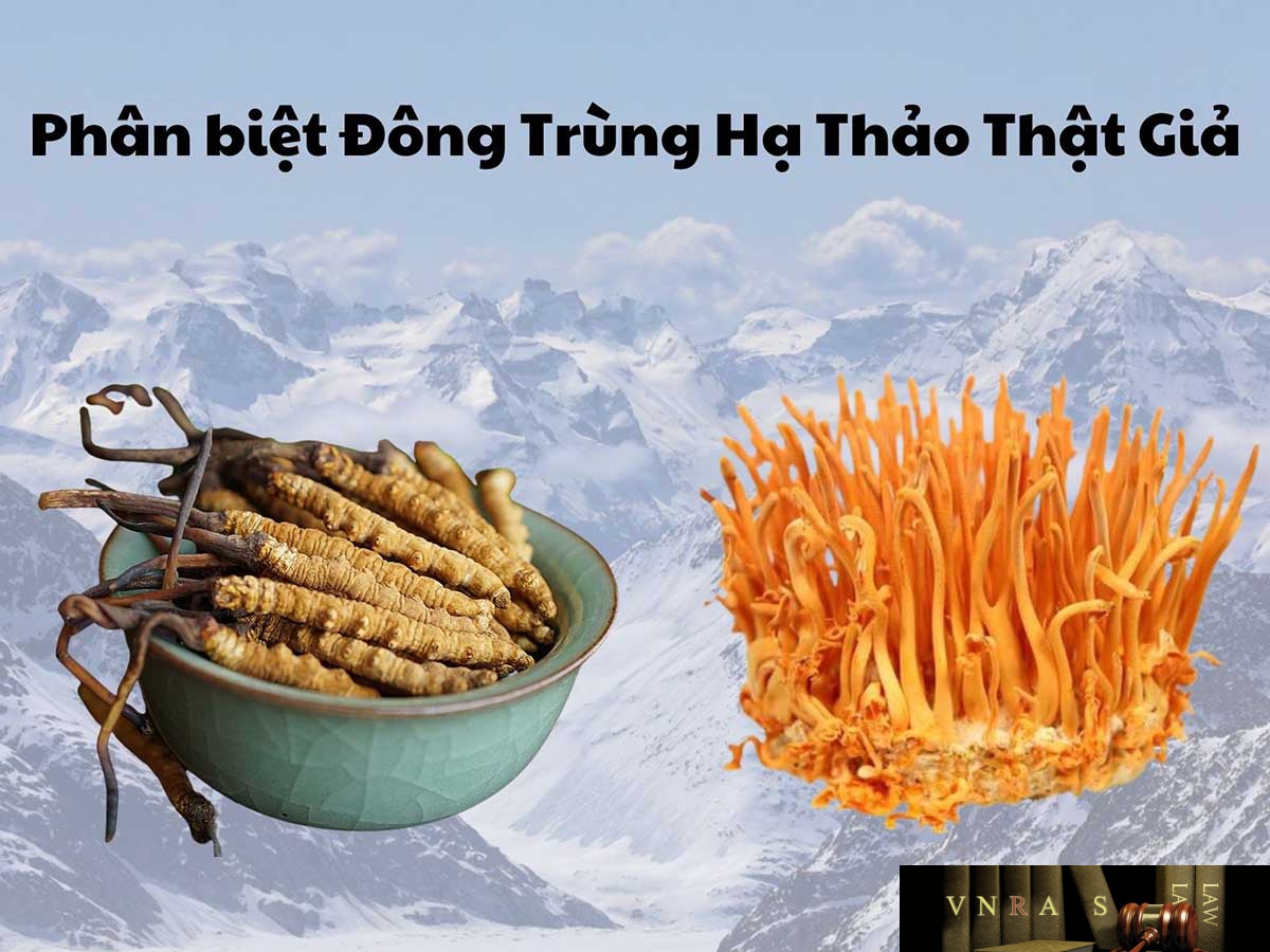 Đông Trùng Hạ Thảo