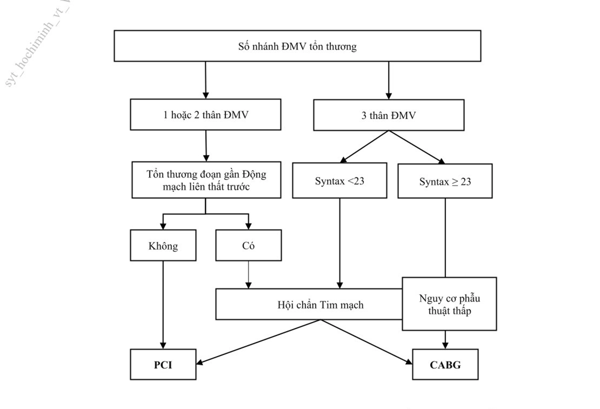 Hình 10. Lựa chọn PCI hoặc CABG trên người bệnh có tổn thương nhiều thânđộng mạch vành