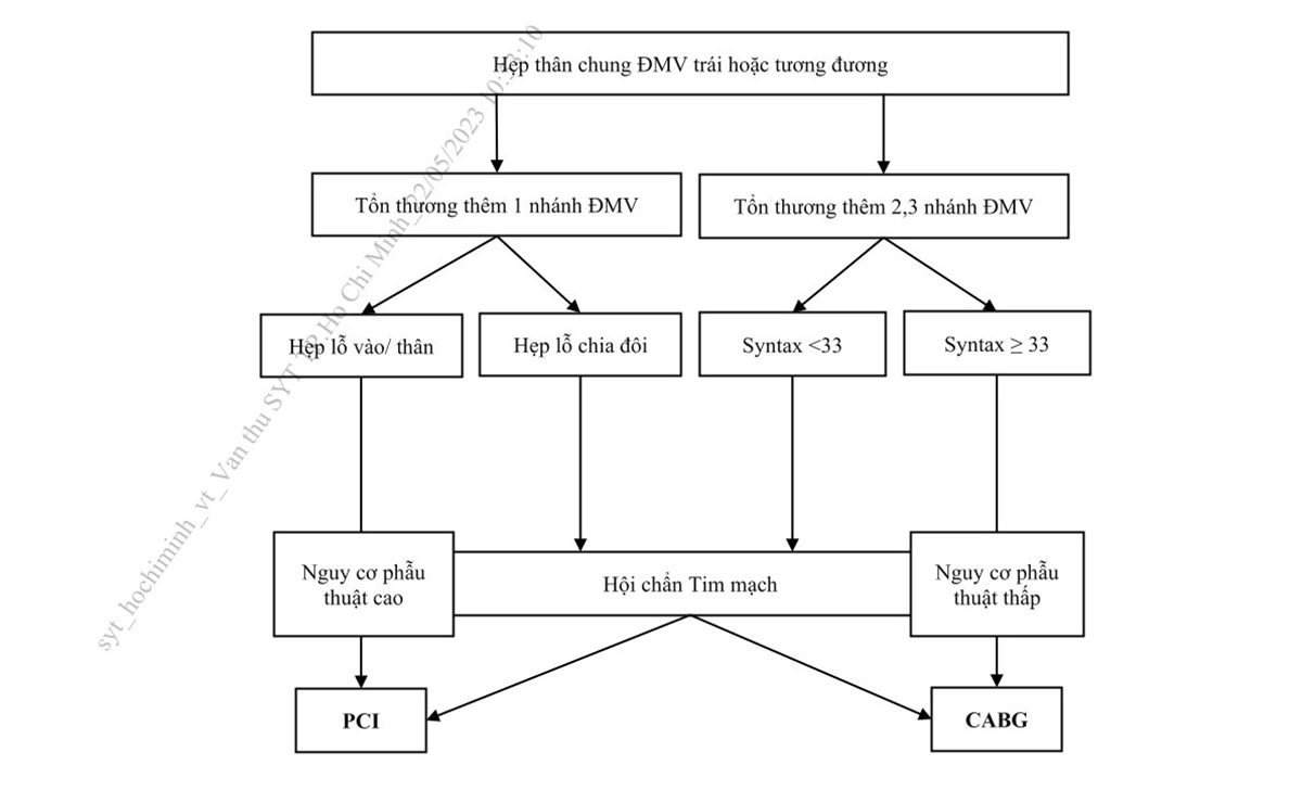 Hình 11. Lựa chọn PCI hoặc CABG trên người bệnh có tổn thương thân chungĐMV trái