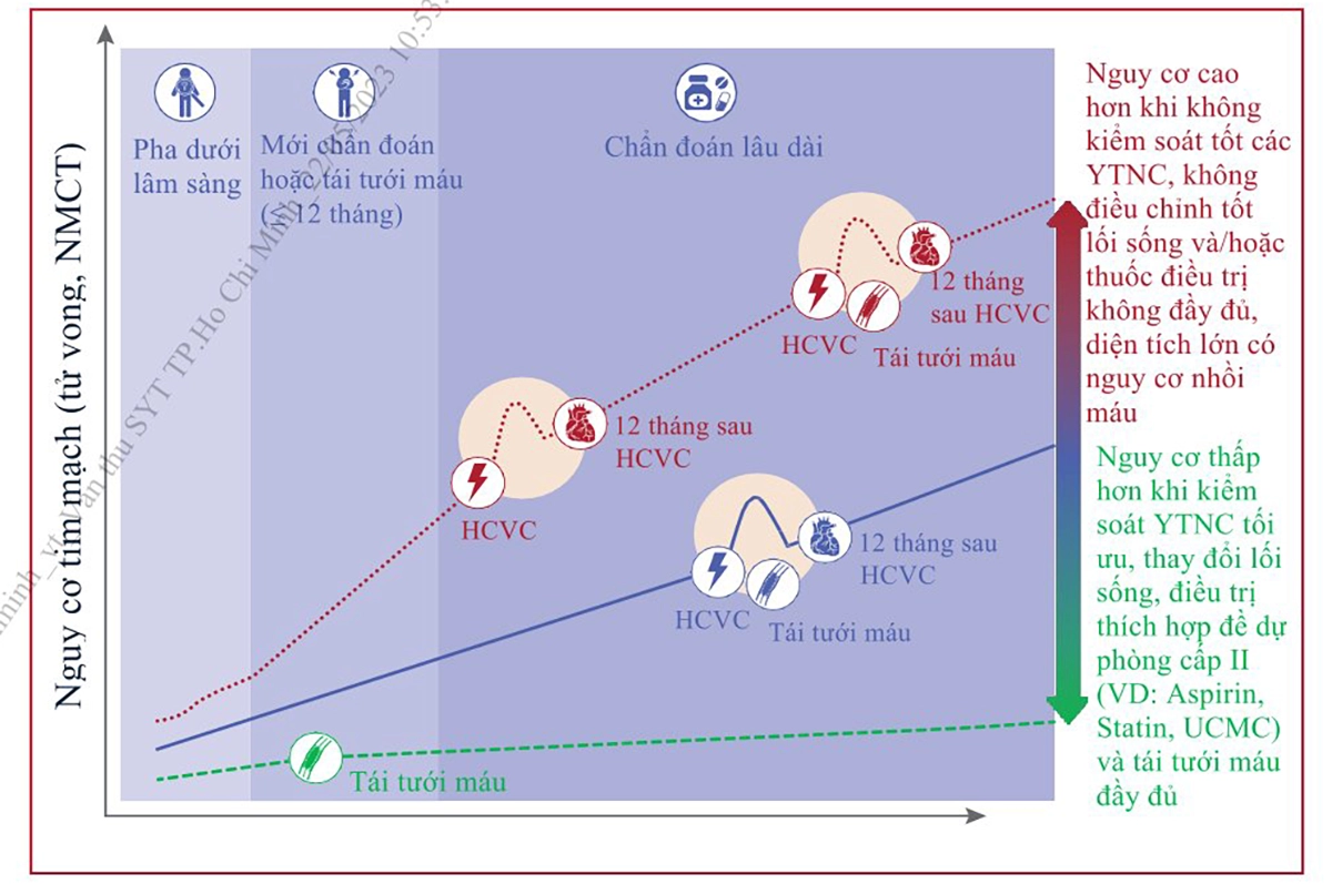 Hình 1. Tiến triển liên tục giữa các pha cấp và mạn của bệnh động mạch vành vàphụ thuộc vào việc kiểm soát các yếu tố nguy cơ cũng như thực hành điều trị có
đầy đủ hay không mà diễn tiến của bệnh rất khác nhau 