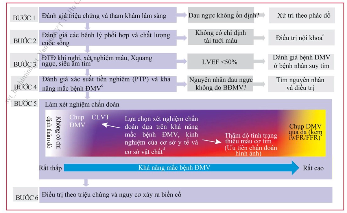 Hình 5. Các bước chẩn đoán bệnh động mạch vành