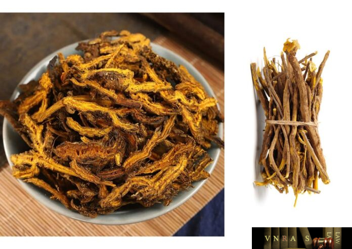 Hoàng Liên