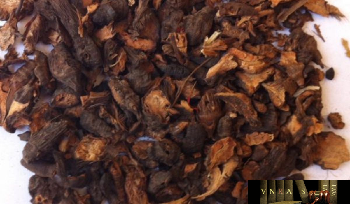 Vị thuốc Hương Phụ 