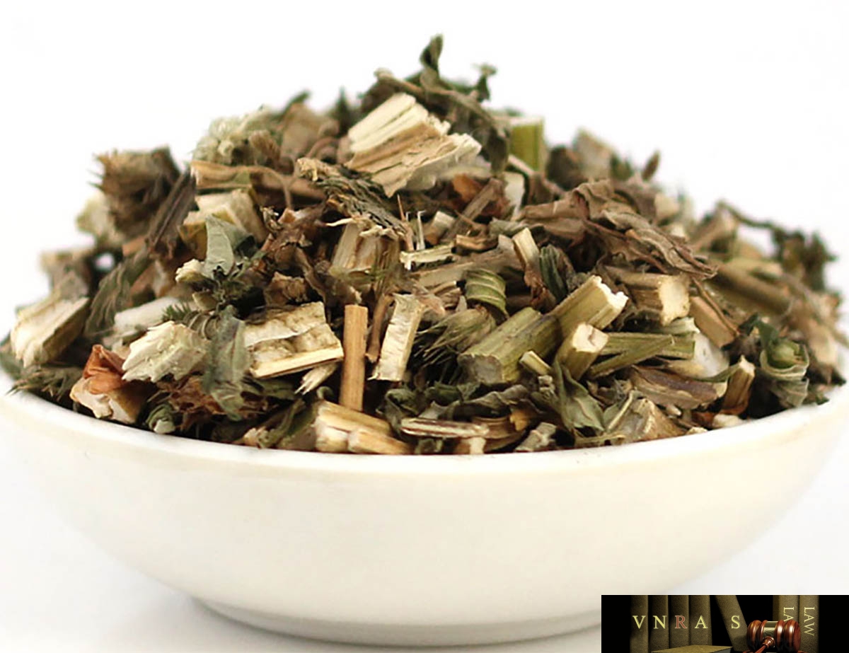 Dược liệu Ích Mẫu