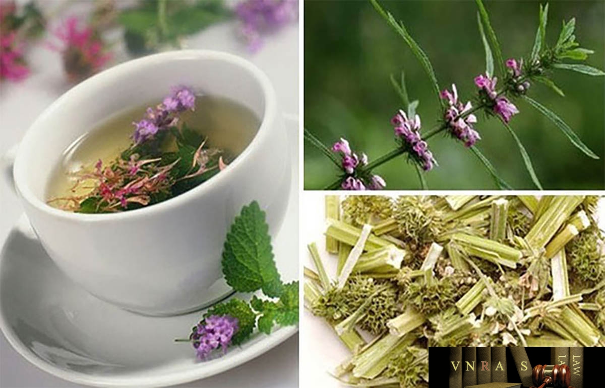  Ích mẫu có tác dụng hoạt huyết điều kinh, khư ứ chỉ thống, lợi thuỷ tiêu thũng. 