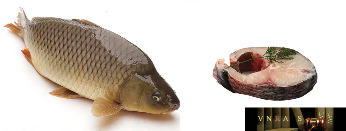 Cá Trắm