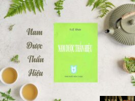 Nam Dược Thần Hiệu