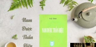 Nam Dược Thần Hiệu