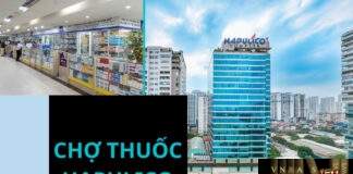 Chợ thuốc Hapulico