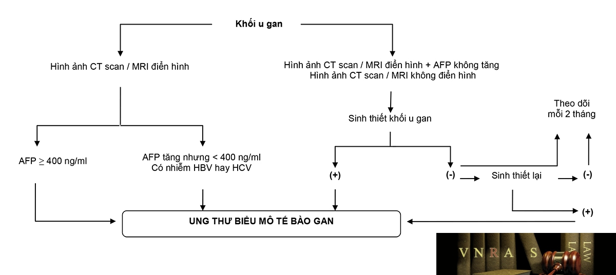 Sơ đồ chẩn đoán UTBMTBG
