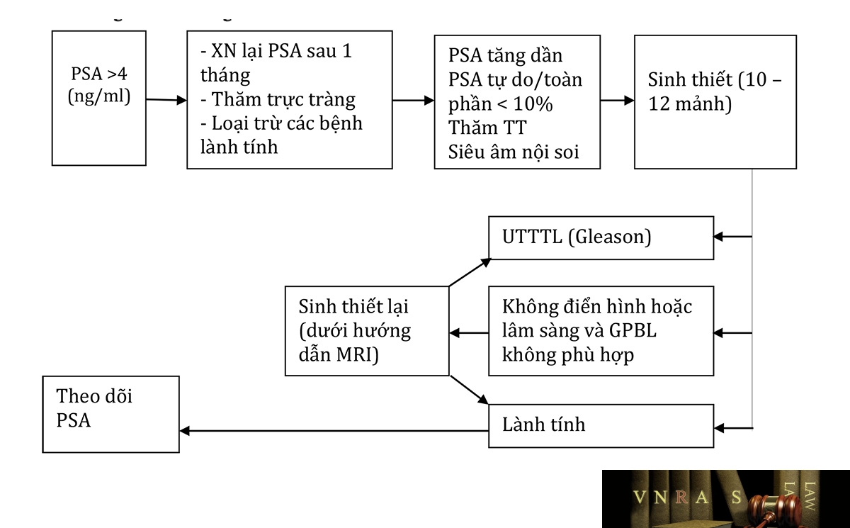 Sơ đồ 2.1. Sinh thiết TTL dưới hướng dẫn của siêu âm nội trực tràng