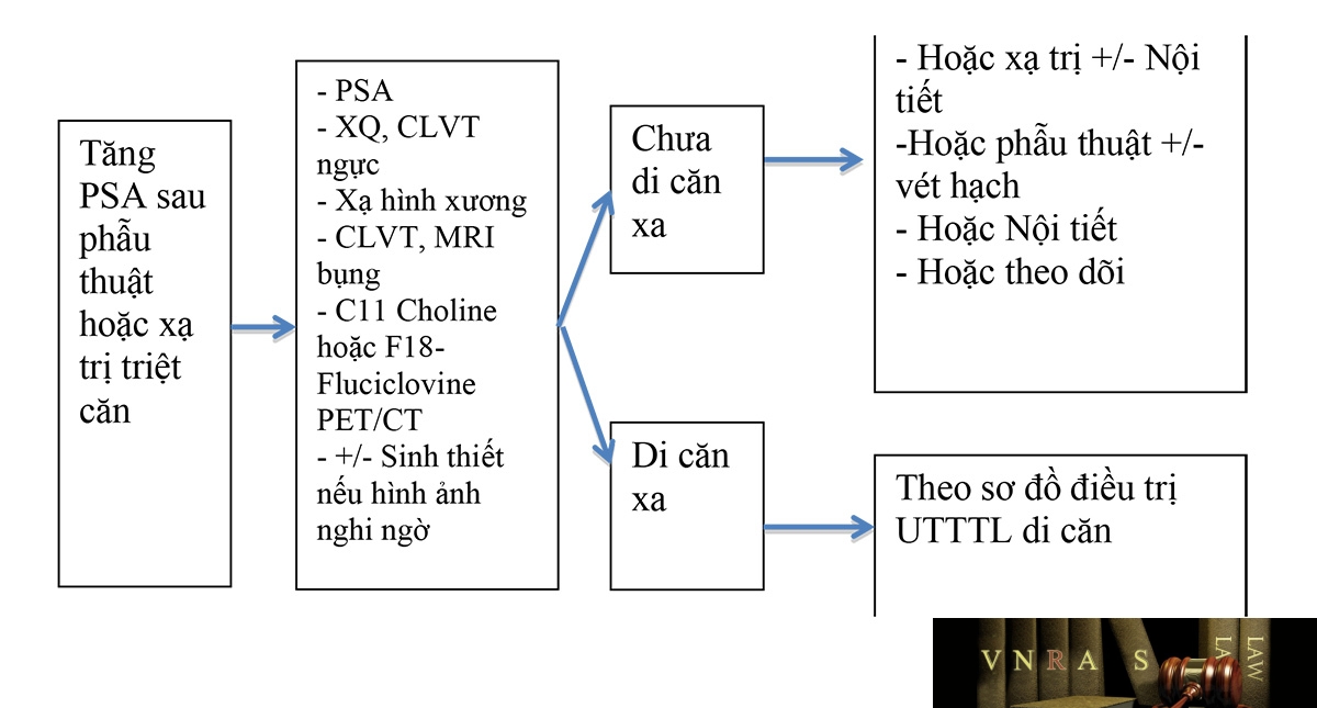 Sơ đồ 3.6. Xử lý tăng PSA đơn thuần sau phẫu thuật hoặc xạ trị triệt căn