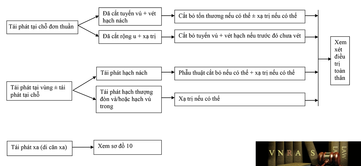 Sơ đồ 13: Hm88i.com thuộc Liên Minh OKVIP UNG THƯ VÚ TÁI PHÁT